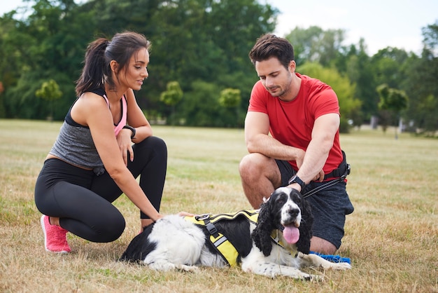 From Ruff to Ready: Dog Training for Real-Life Situations